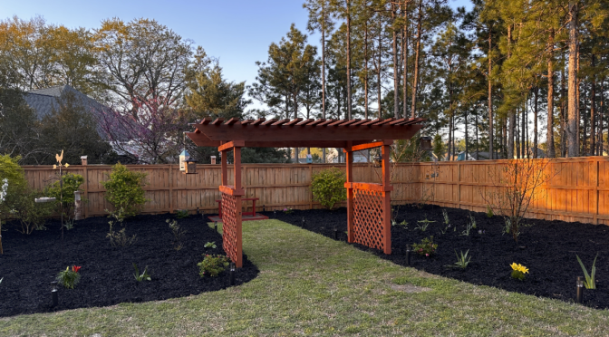 Building a backyard birding oasis in central North Carolina